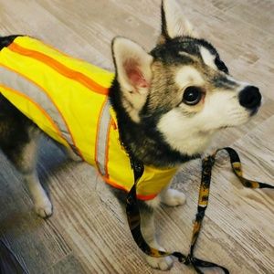 Meet your Posher, Kaitlin